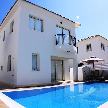 Villa Palm Tree *